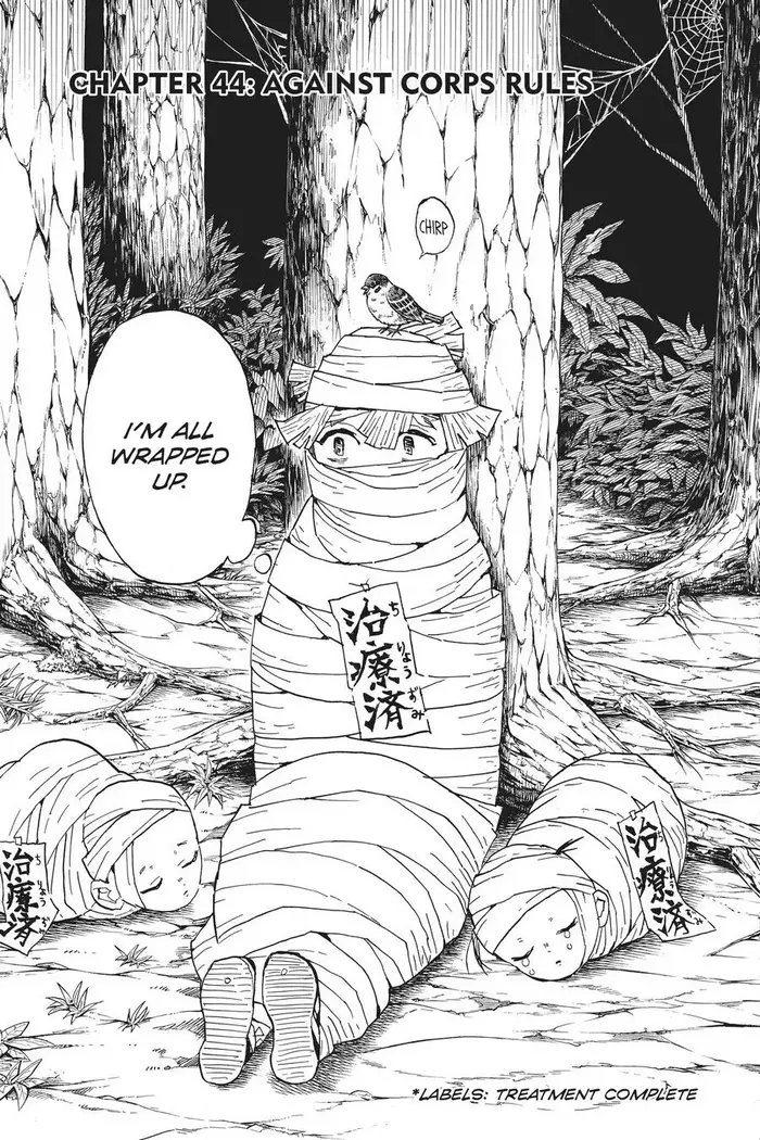 Demon Slayer Chapter 44 image 07_optimized